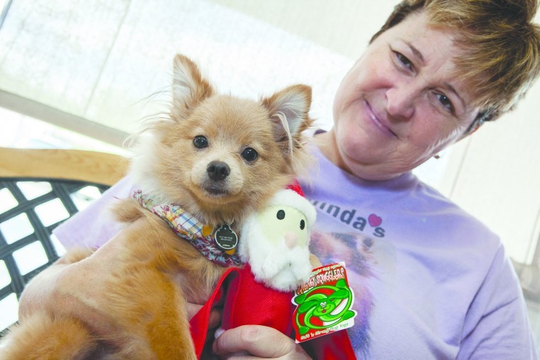 Malinda's Pampered Pets