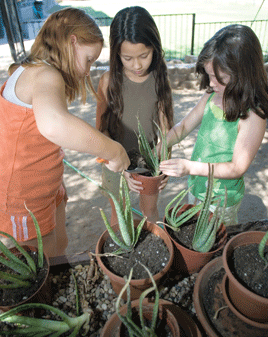 Healthy learning 