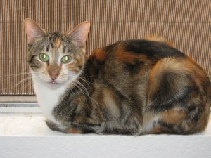Someone to love: Ellie