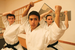 Karate promotes healthy living 