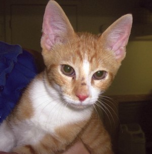 Someone to love: Jimmy
