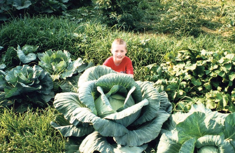 Bonnie Plants' 3rd Grade Cabbage Program