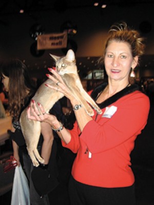 Cats have shows, too: 17th annual event coming to Phoenix next month 