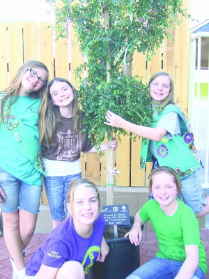 Local girl scouts donate a tree AAWL new adoption center