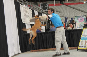 Home and Garden Show