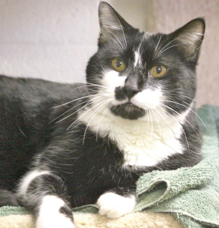 Someone to love: Carlos