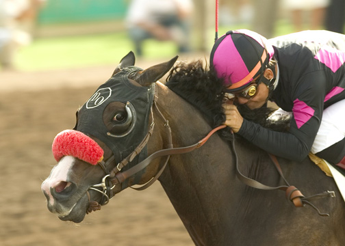 Horse racing