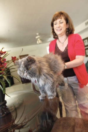 afn.082510.com.animalrescue5.jpg