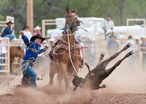 Rodeo