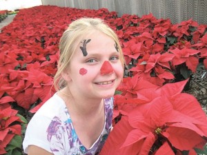 Poinsettia Festival