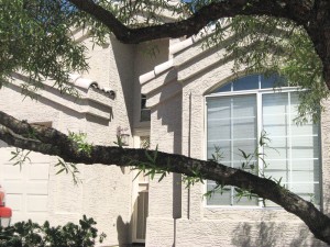 Loop 202 houses