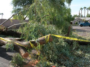 East Valley cleans up after monster storm 