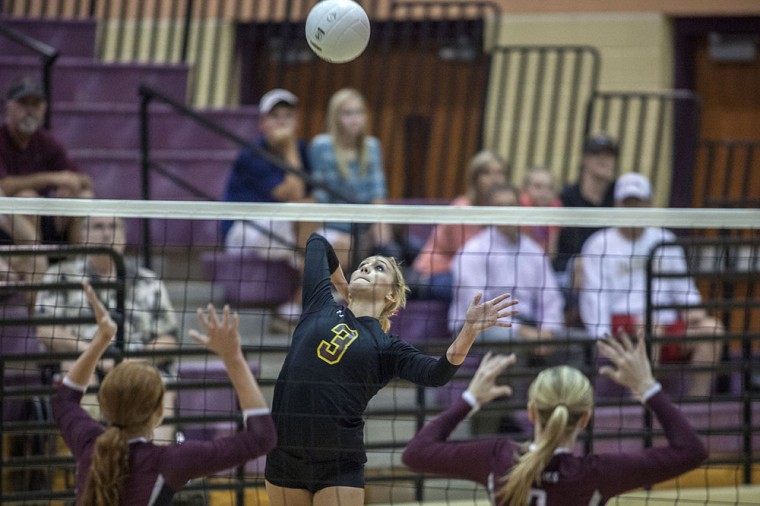 Volleyball: MP vs Hamilton