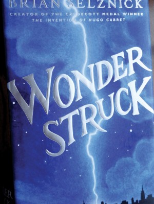 Wonderstruck by Brian Zelnick
