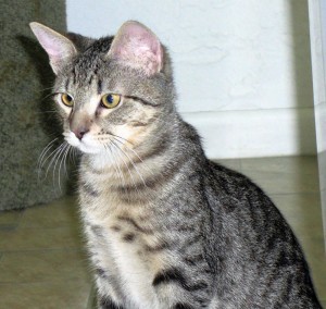 Someone to Love: Billy