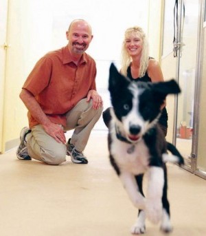 Wiggles & Wags