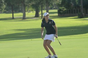 Desert Vista golf