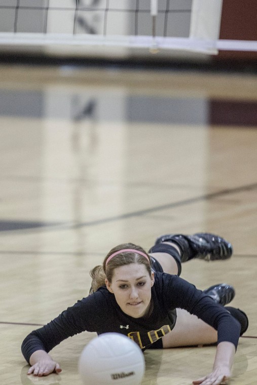 Volleyball: MP vs Hamilton