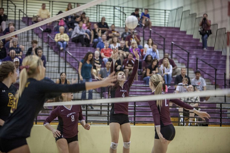 Volleyball: MP vs Hamilton