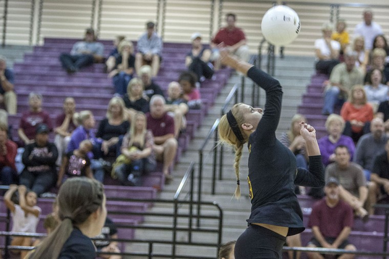 Volleyball: MP vs Hamilton