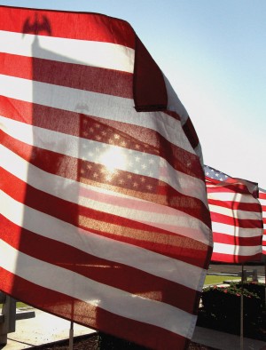 Flag Day