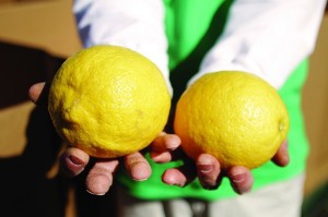 Citrus