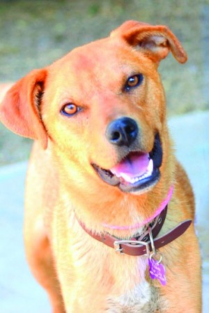 Someone to love: Riley