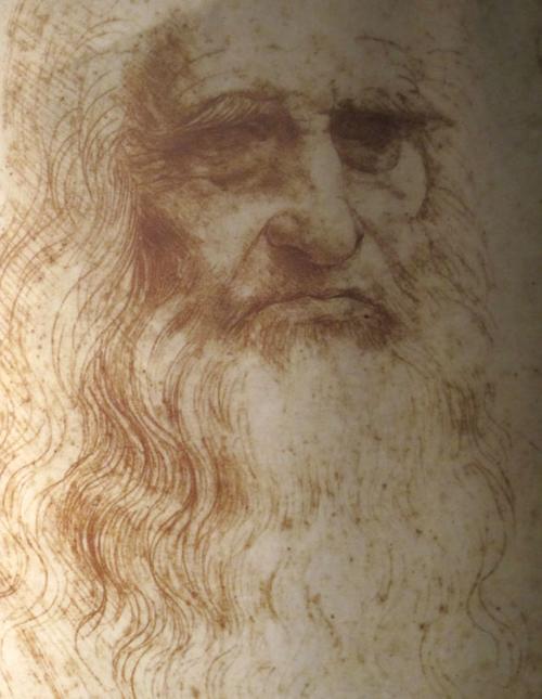DaVinci The Genius