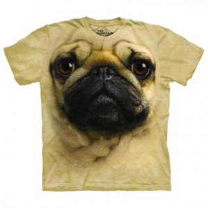 Gift ideas