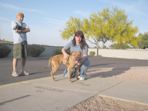 Maricopa County Animal Care and Control