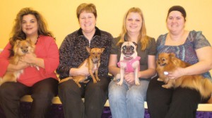 Best Pet Groomer 2008 
