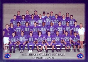 Stingers