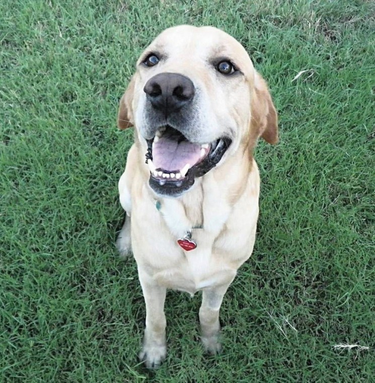 Someone to love: Dirk