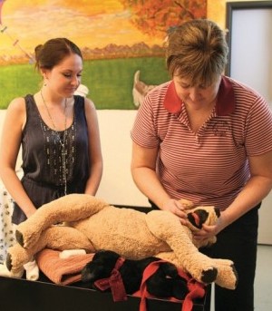 PetTech Pet CPR & First Aid