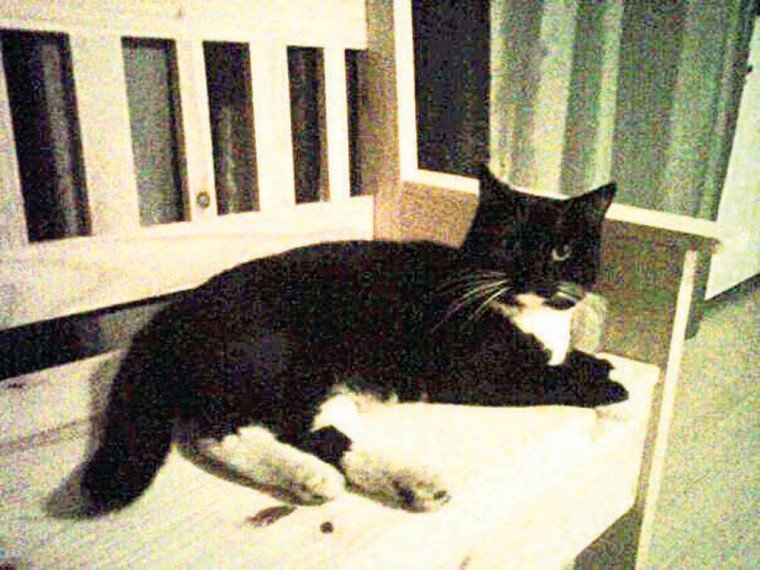 Someone to Love: Honey