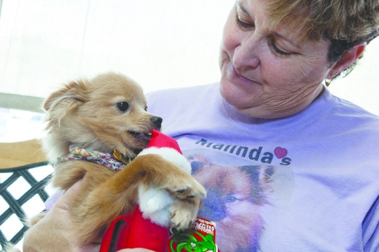 Malinda's Pampered Pets
