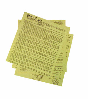 Constitution