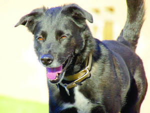 Someone to love: Andy