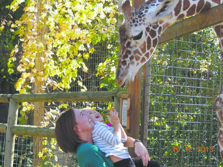 Living treasures animal park discount coupons