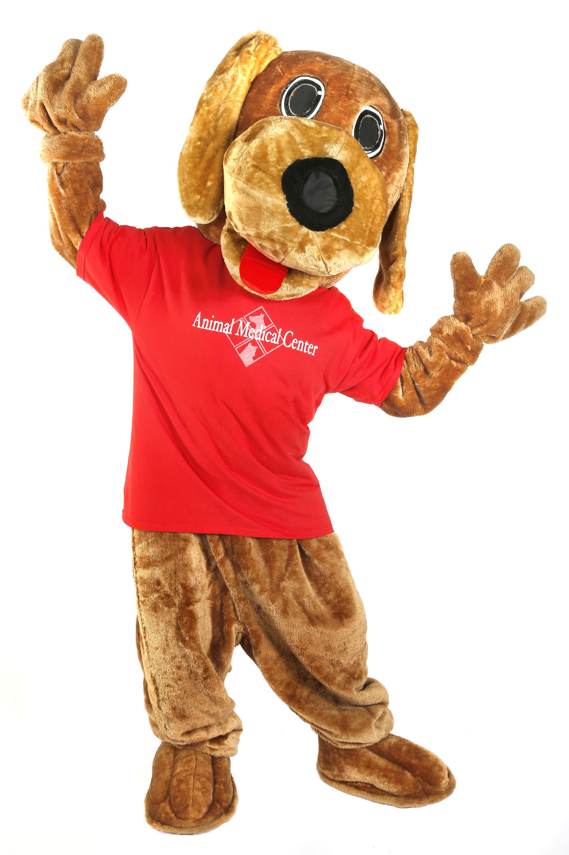 One on one with PetFest's Wags the Dog Features