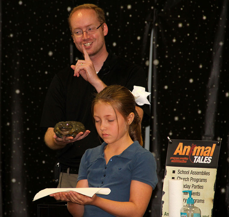 Animal Tales 16/36