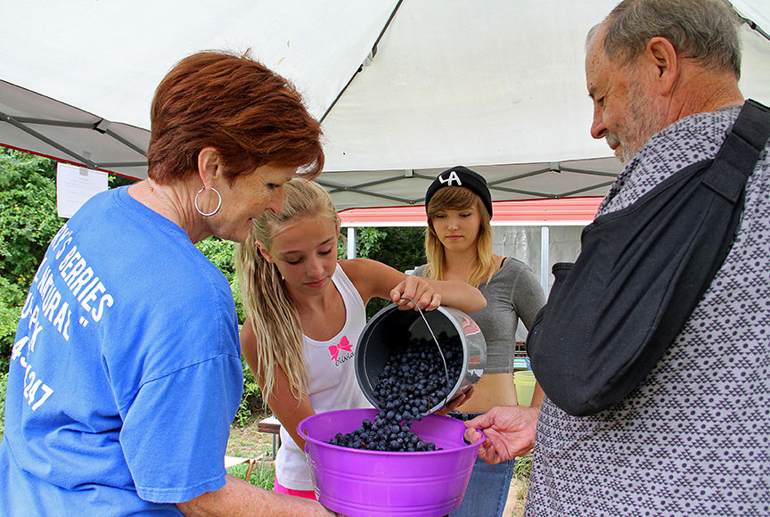 Pickin' for a cause at Jerry's Berries 6
