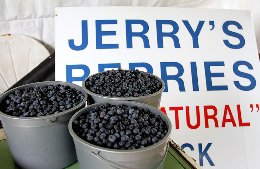 Pickin' for a cause at Jerry's Berries 8