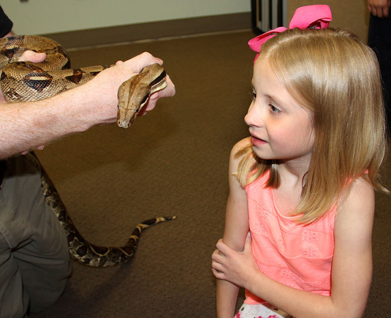 Animal Tales 33/36