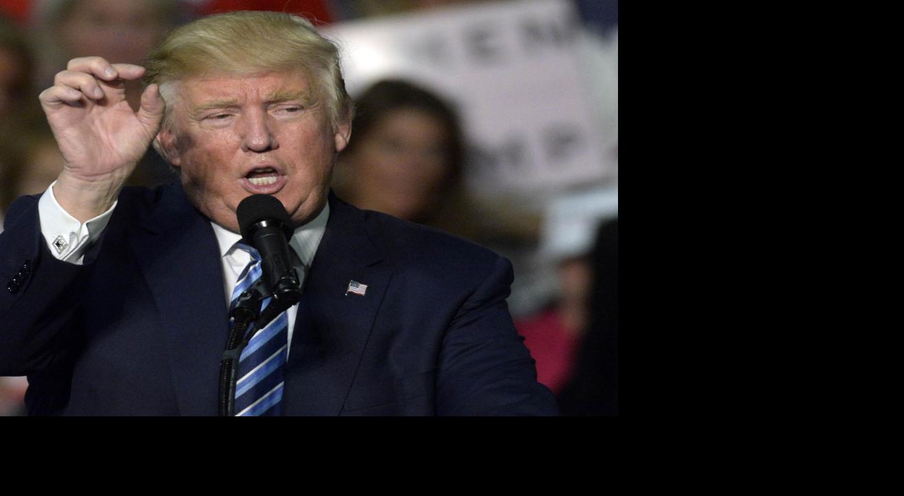 2017 will be a great year thanks to Donald Trump