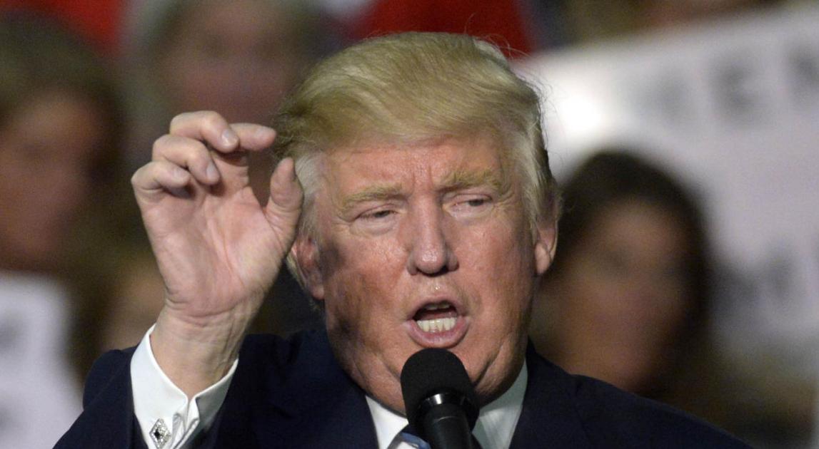 2017 will be a great year thanks to Donald Trump