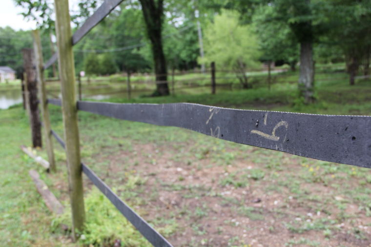 Woman stretches her dollar with rubber fencing News