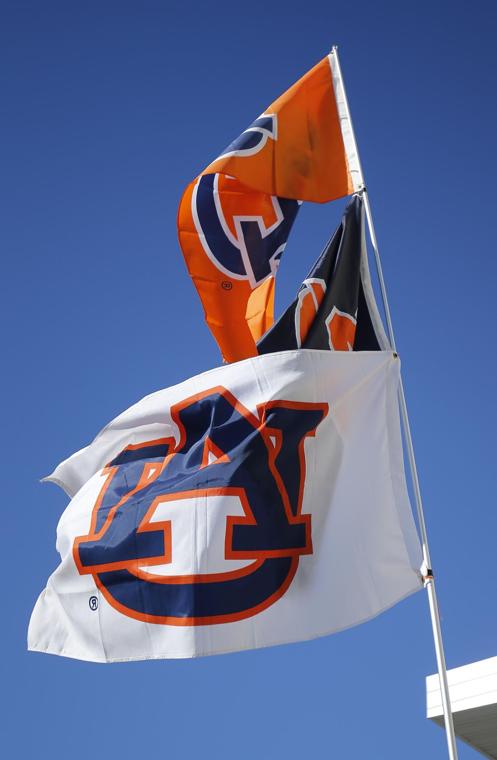 جماع+الحيوانات+مع+النساء Report: Florida State’s Kelly won’t head to Auburn - The Anniston ...