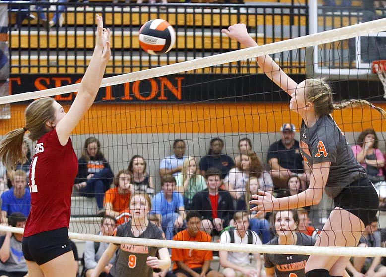 Alexandria_Sardis vb_001 tp.jpg