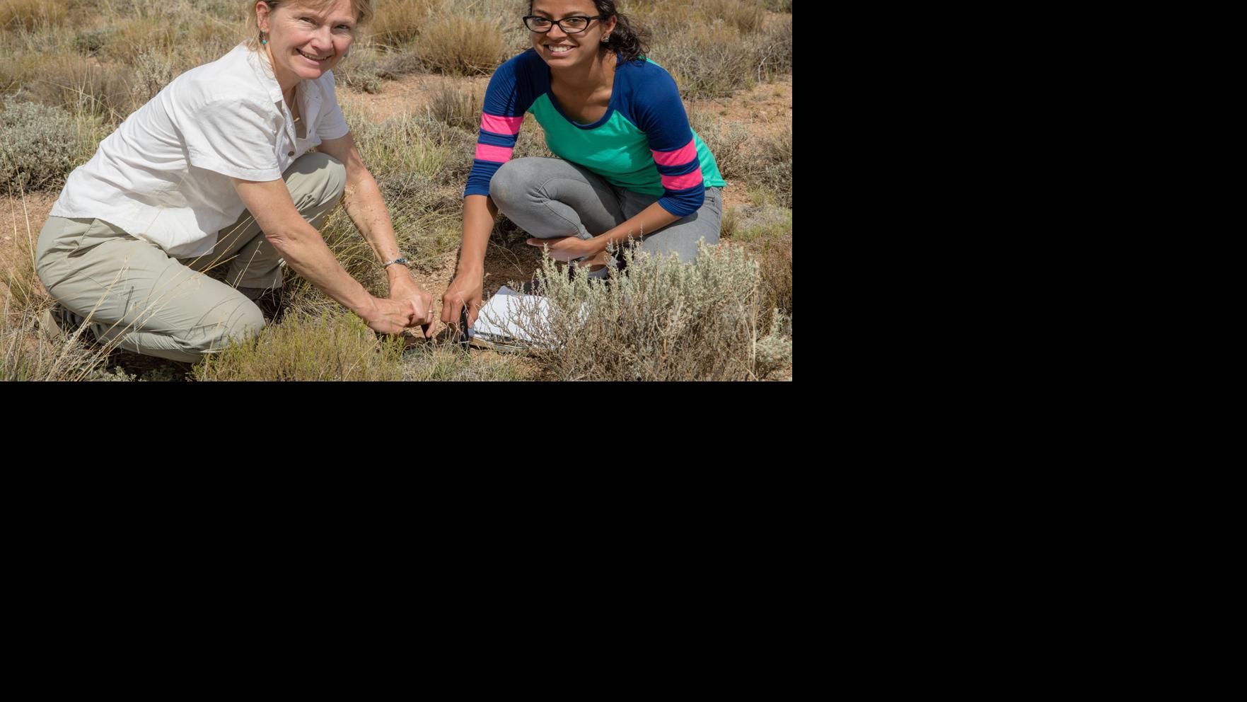 Closer look by NAU finds mixed results for intensive grazing